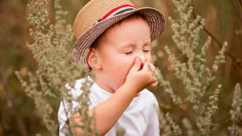 Allergie Kind_Shutterstock_1486756709 - Der Wohnort beeinflusst Allergien. - © Shutterstock