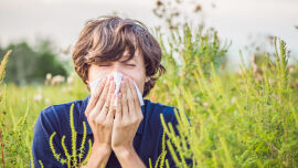 Allergie_Shutterstock_1039352290 - © Shutterstock